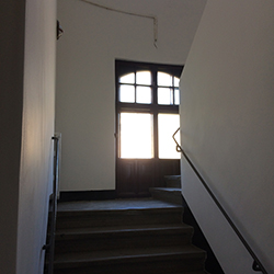 Pro Opera Transilvană