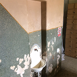 Pro Opera Transilvană