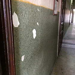 Pro Opera Transilvană