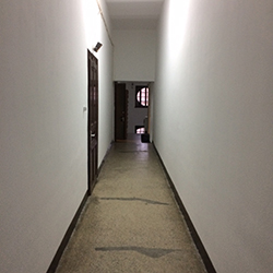 Pro Opera Transilvană