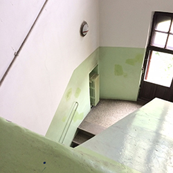 Pro Opera Transilvană